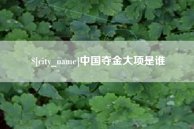 普洱中国夺金大项是谁