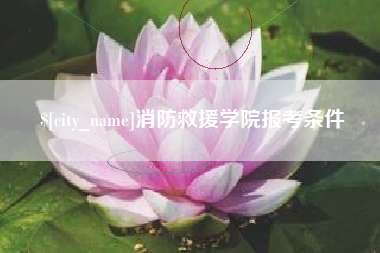 普洱消防救援学院报考条件