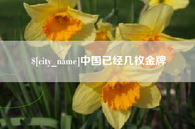 普洱中国已经几枚金牌