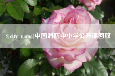 普洱中国消防中小学公开课回放