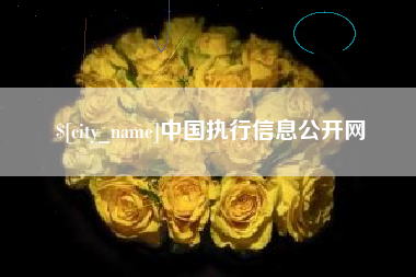 普洱中国执行信息公开网
