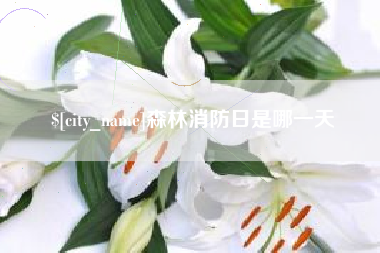 普洱森林消防日是哪一天