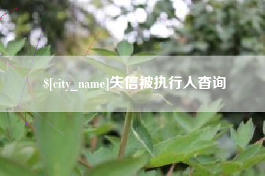 普洱失信被执行人杳询