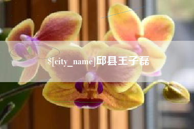 普洱邱县王子磊