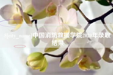 普洱中国消防救援学院2020年录取结果