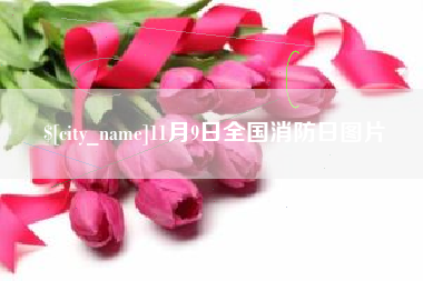 普洱11月9日全国消防日图片