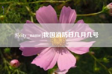 普洱我国消防日几月几号