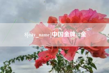 普洱中国金牌18金