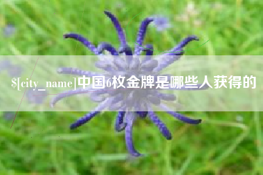 普洱中国6枚金牌是哪些人获得的