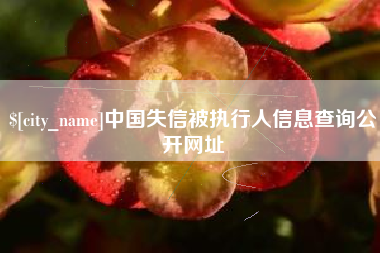 普洱中国失信被执行人信息查询公开网址