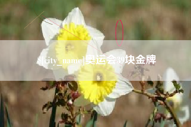 普洱奥运会39块金牌