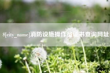 普洱消防设施操作员证书查询网址