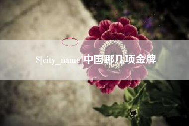 普洱中国哪几项金牌