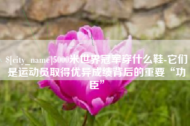 普洱5000米世界冠军穿什么鞋-它们是运动员取得优异成绩背后的重要“功臣”