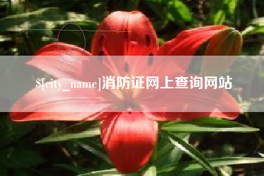 普洱消防证网上查询网站