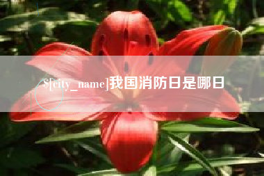 普洱我国消防日是哪日
