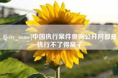 普洱中国执行案件查询公开网都是执行不了得案子