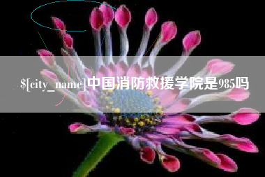 普洱中国消防救援学院是985吗