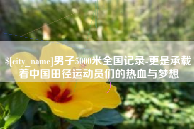 普洱男子5000米全国记录-更是承载着中国田径运动员们的热血与梦想