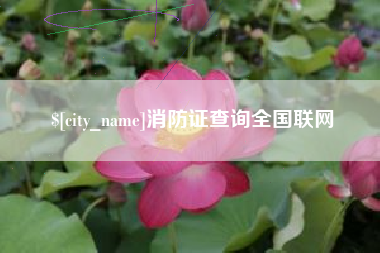 普洱消防证查询全国联网