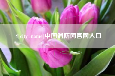 普洱中国消防网官网入口