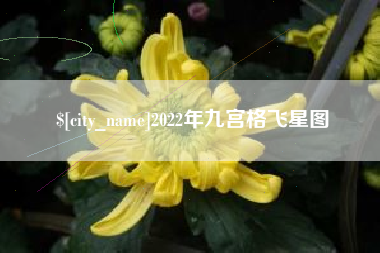 普洱2022年九宫格飞星图