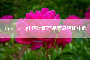 普洱中国消防产品信息查询中心
