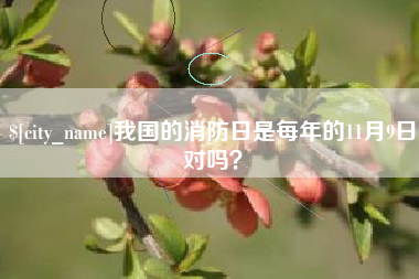 普洱我国的消防日是每年的11月9日对吗？