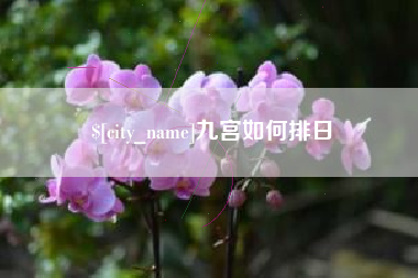 普洱九宫如何排日