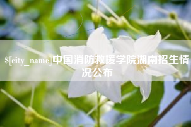 普洱中国消防救援学院湖南招生情况公布