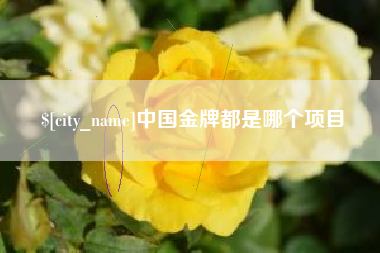 普洱中国金牌都是哪个项目