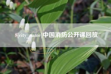 普洱中国消防公开课回放