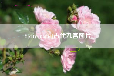 普洱古代九宫图片