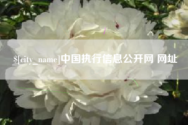 普洱中国执行信息公开网 网址