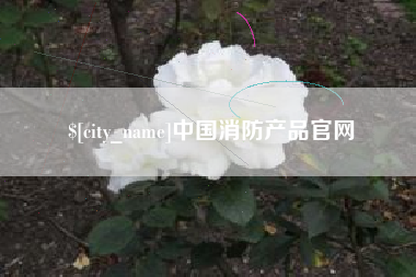 普洱中国消防产品官网