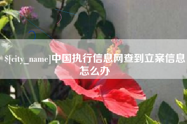 普洱中国执行信息网查到立案信息怎么办