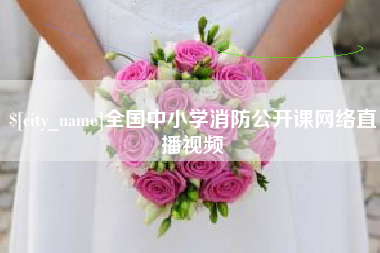 普洱全国中小学消防公开课网络直播视频