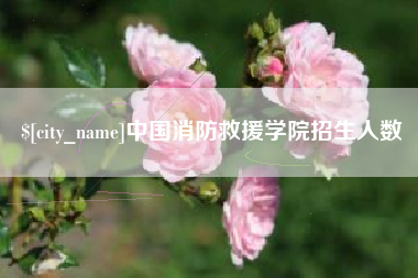 普洱中国消防救援学院招生人数