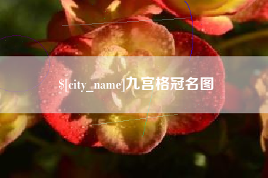 普洱九宫格冠名图