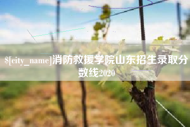 普洱消防救援学院山东招生录取分数线2020