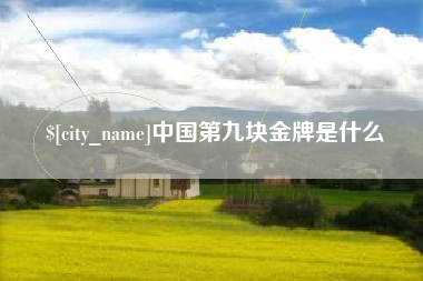 普洱中国第九块金牌是什么