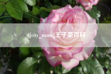 普洱王子豪百科
