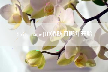 普洱119消防日哪年开始