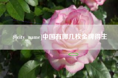 普洱中国有哪几枚金牌得主