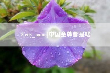 普洱中国金牌都是啥