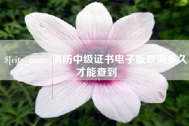 普洱消防中级证书电子版查询多久才能查到