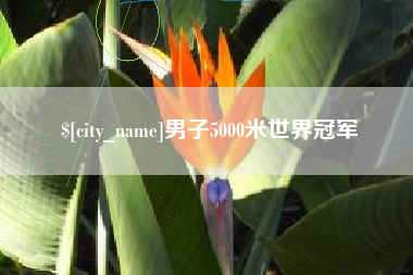 普洱男子5000米世界冠军