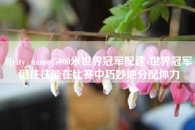 普洱5000米世界冠军配速-世界冠军们往往能在比赛中巧妙地分配体力