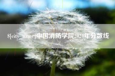 普洱中国消防学院2024年分数线