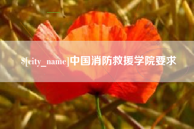 普洱中国消防救援学院要求